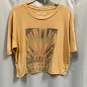 American Eagle vintage crop top